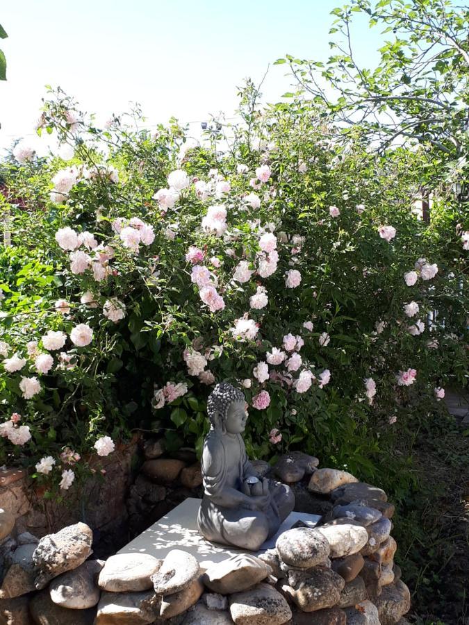 La Medeenne Alairac 외부 사진