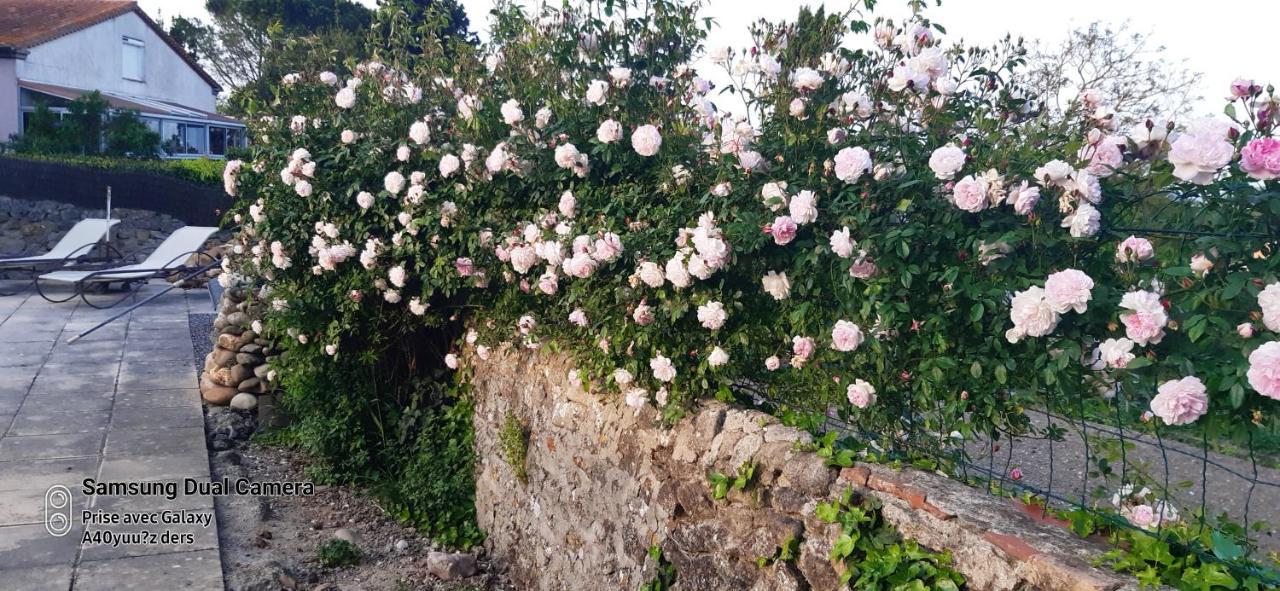 La Medeenne Alairac 외부 사진